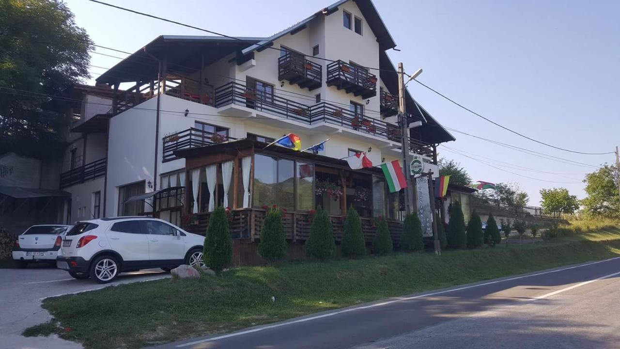 Pensiunea Pomi -Oesti Hotell Albestii Paminteni Eksteriør bilde